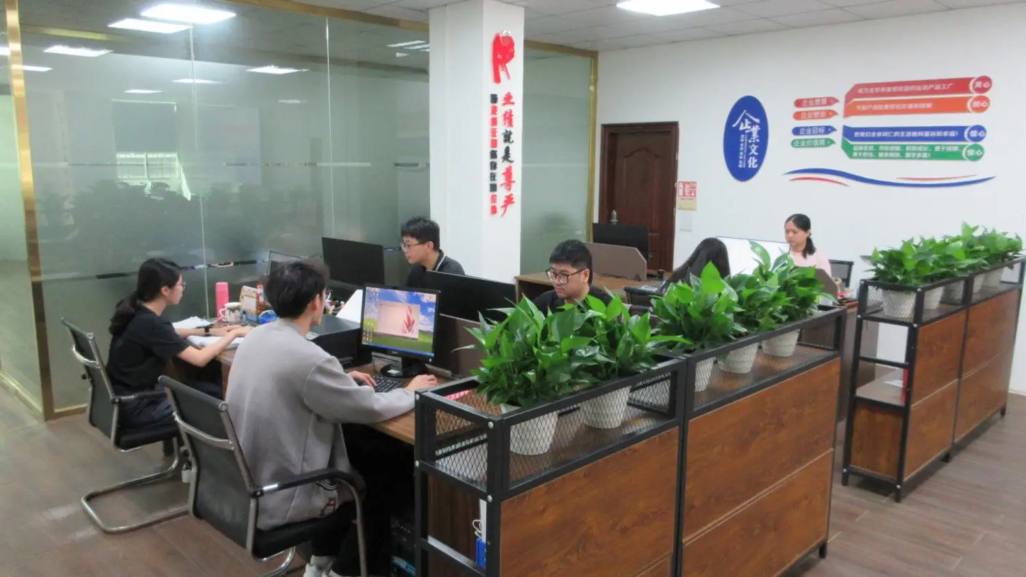 Dongguan Yedo Industrial Co., Ltd. Pickleball Balls