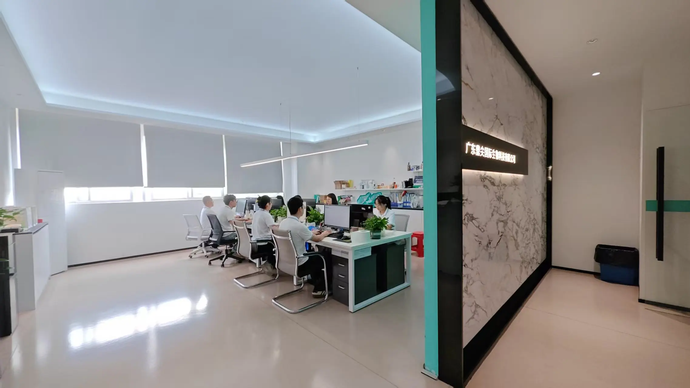 Guangdong Dingjian International Biotechnology Co., Ltd. Hair Growth Oil