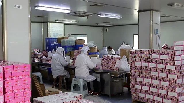 Yiwu City Anchovy Cosmetic Co., Ltd. Lipstick