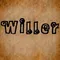 Shanghai Willer Arts & Crafts Co., Ltd. logo