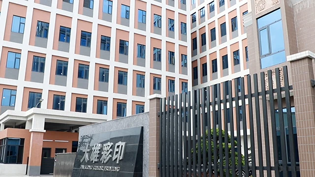 Chaozhou Chaoan Daxiong Color Printing Co., Ltd. Coffee Packaging Bags