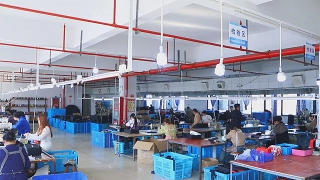 Yiwu Wanye Luggage Factory EVA Tool case