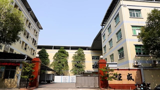 Dongguan Hengjin Packaging Products Co., Ltd. Medical Waste Bag