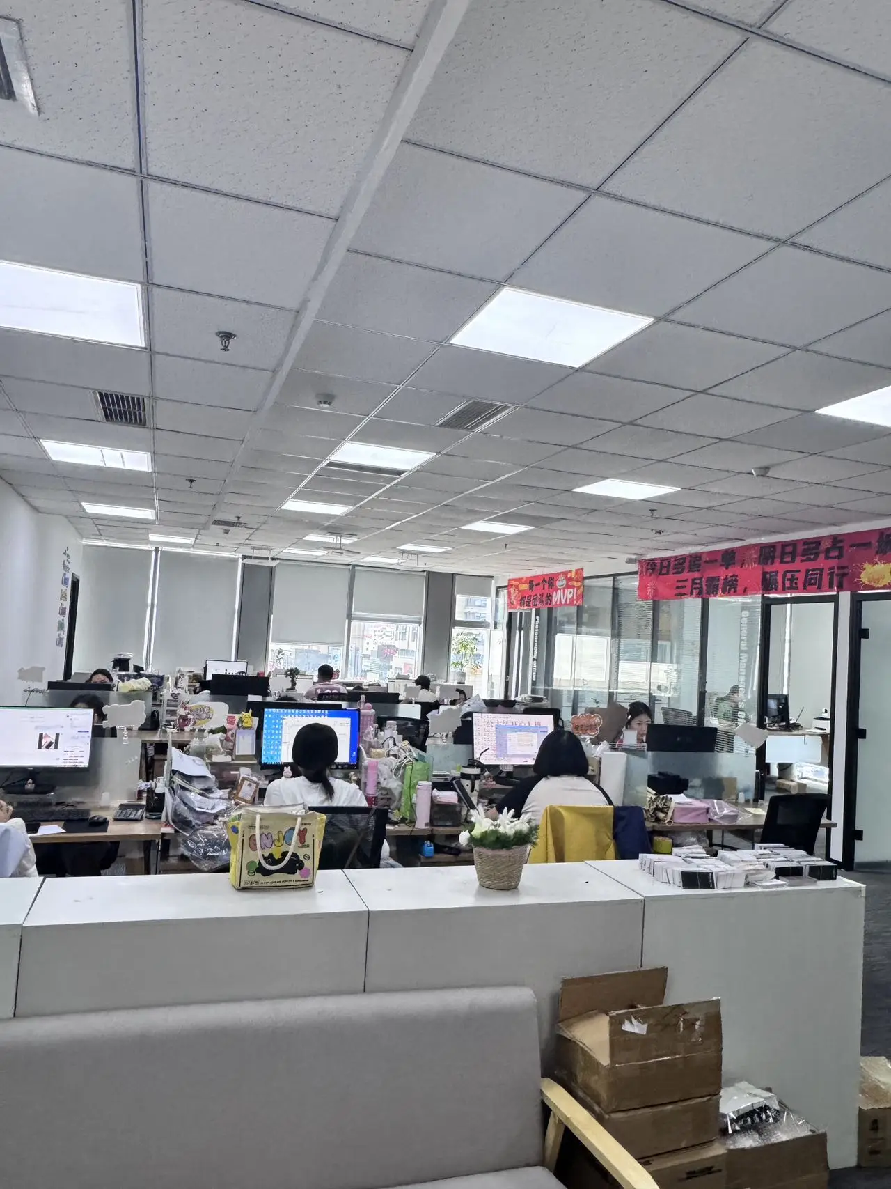Qingdao Lady Style Cosmetics Co., Ltd. Premade Fan Lashes