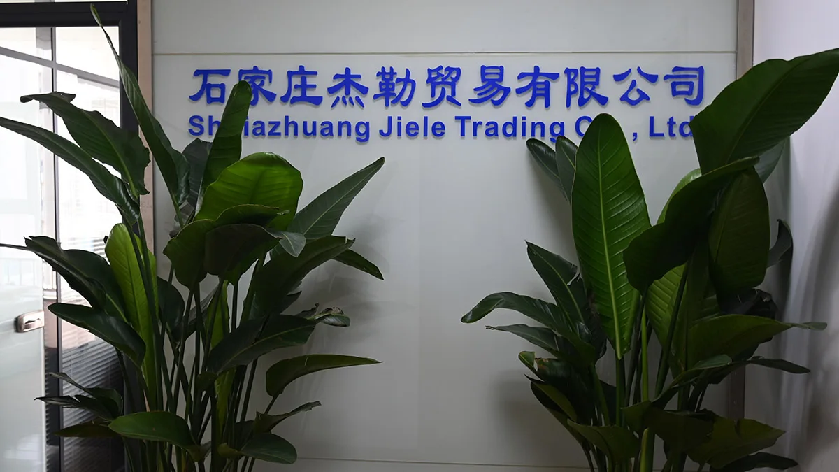 Shijiazhuang Jinchen Technology Co., Ltd. Barefoot Shoes