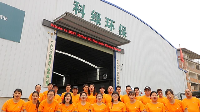 Guangxi Kelv Environment Technology Co., Ltd. Electrostatic Precipitator