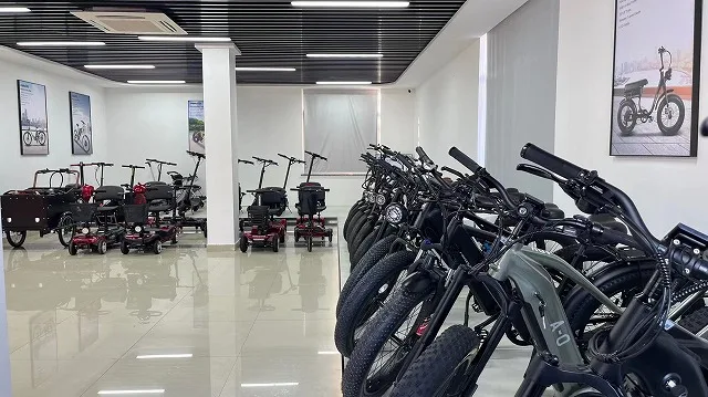 Cemoto Ltd Electric Bike
