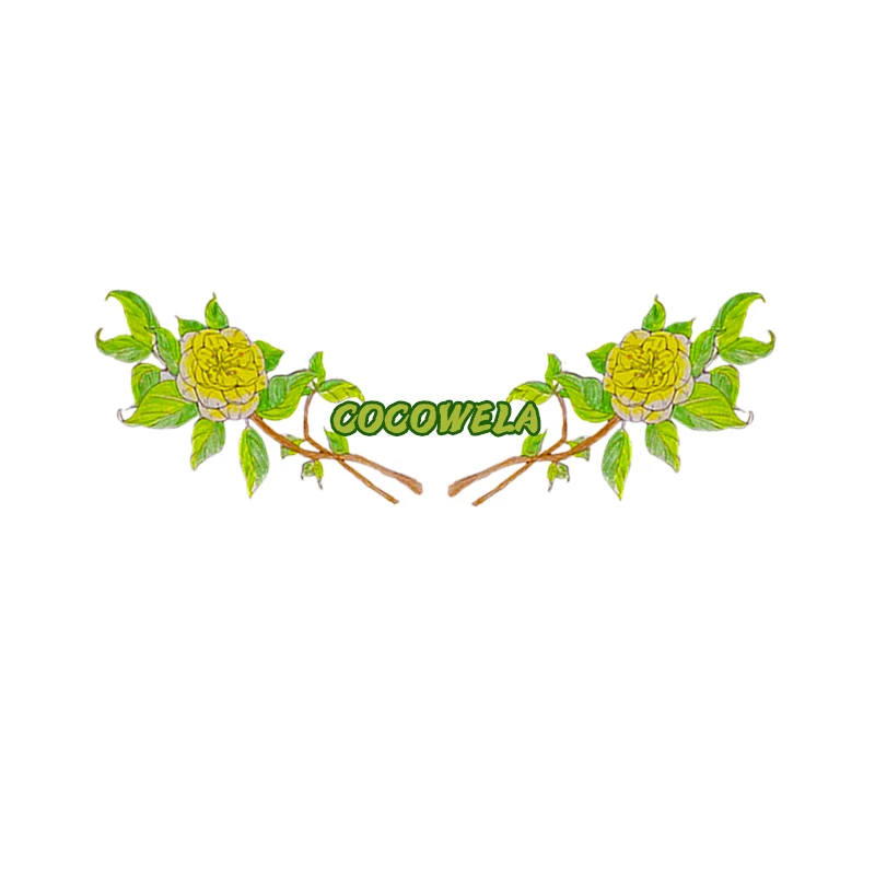 Guangzhou Meiyue Essential Oil Cosmetics Co., Ltd. logo