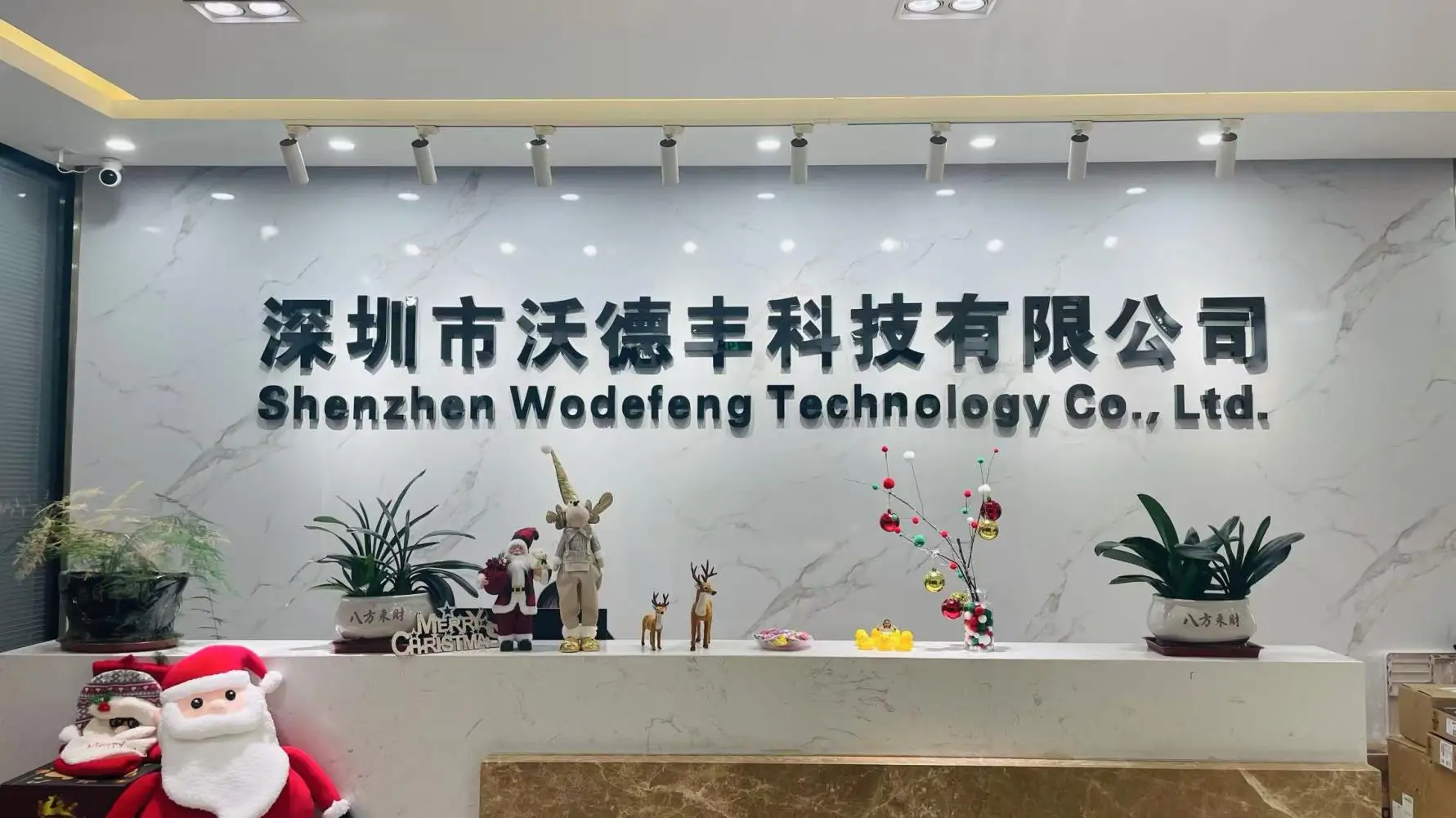 Shenzhen Wodefeng Technology Co., Ltd. DLP Projector