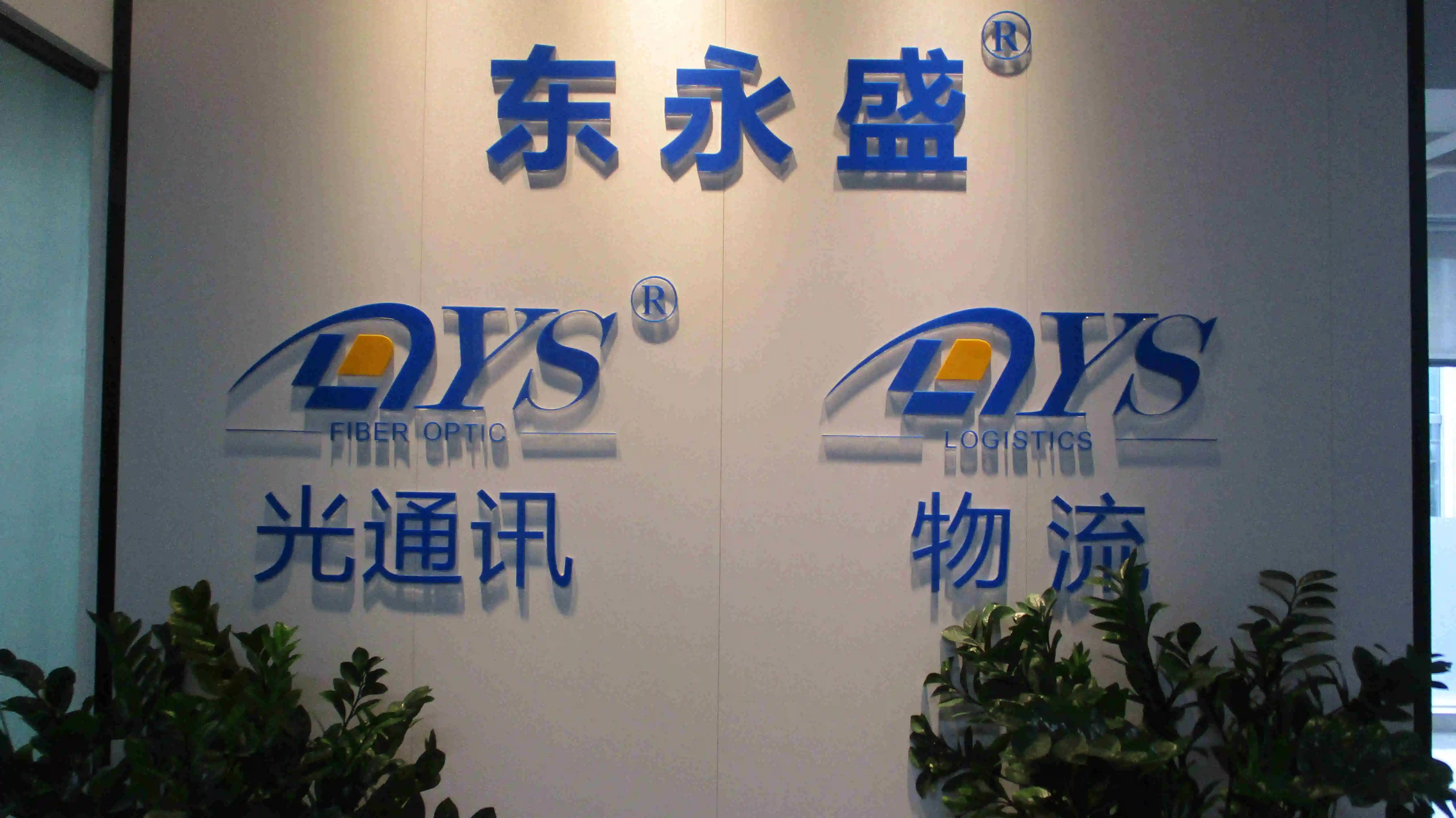 Shenzhen DYS Fiber Optic Technology Co., Ltd. MPO/MTP Assembly