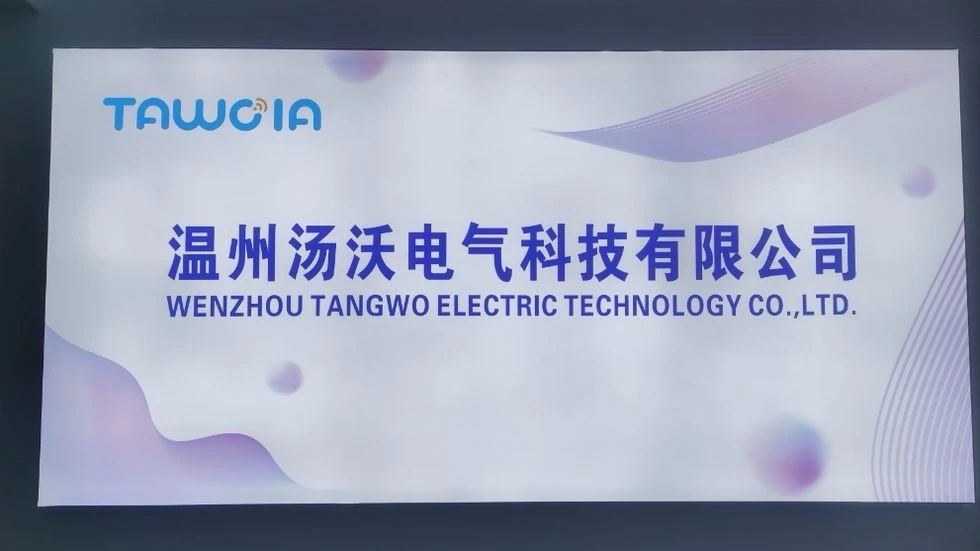 Wenzhou Tangwo Electric Technology Co., Ltd. Smart Socket