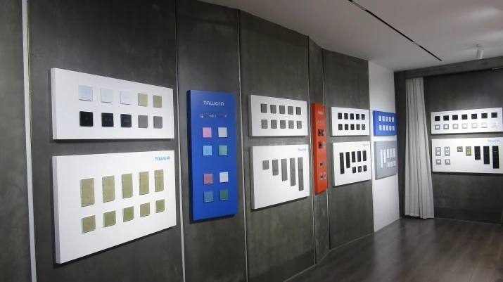 Wenzhou Tangwo Electric Technology Co., Ltd. WiFi Smart Switch