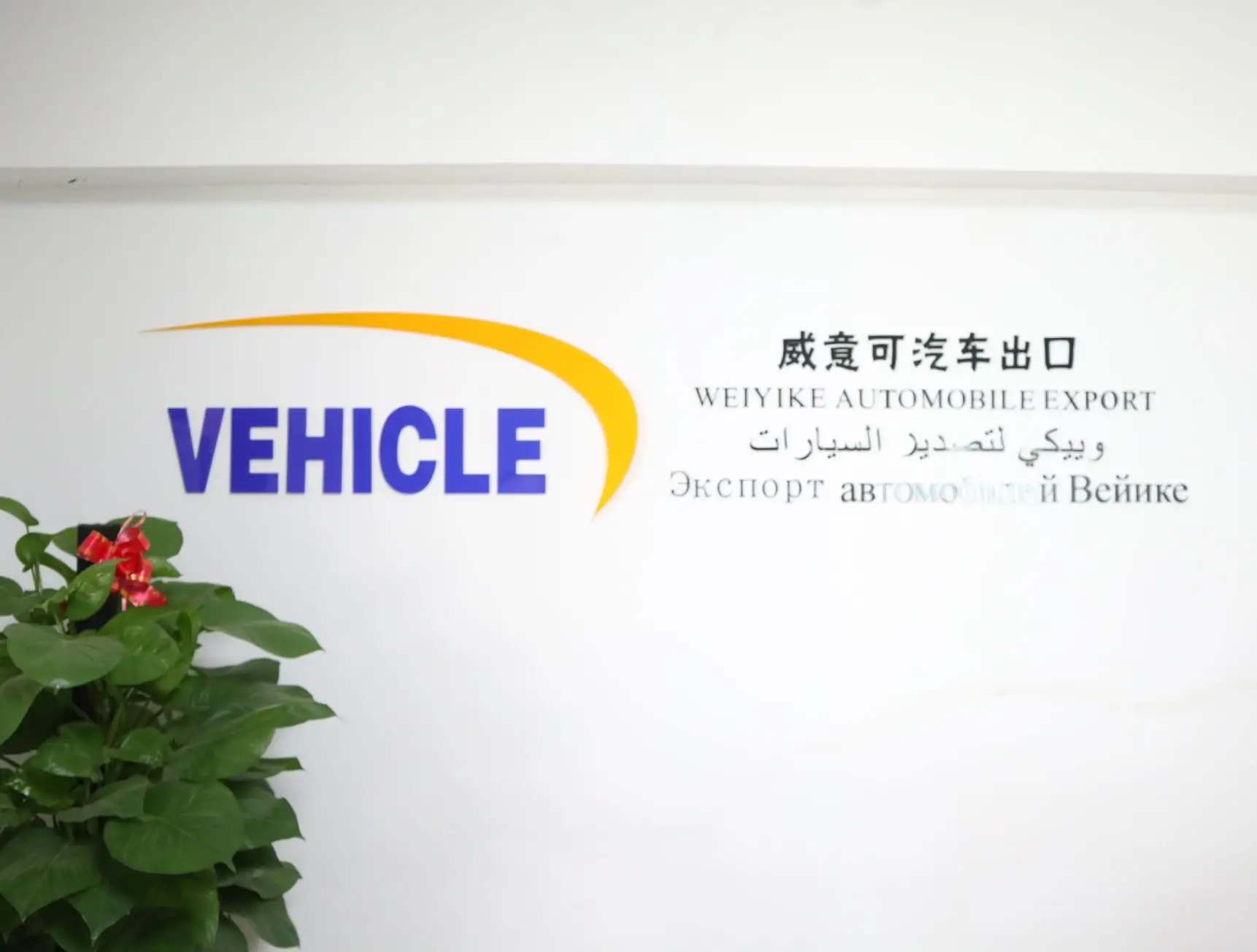 Weiyike (Shaanxi) International Trading Co., Ltd. New Energy Vehicles