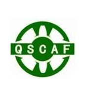 Qingdao Scaffolding Co., Ltd. logo