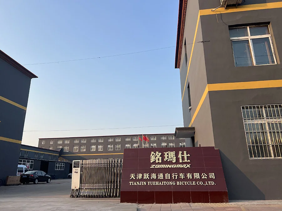 Tianjin Yuehaitong Bicycle Co., Ltd. Electric Bike