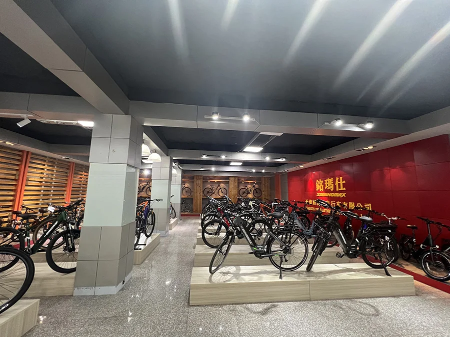Tianjin Yuehaitong Bicycle Co., Ltd. Electric Tricycle