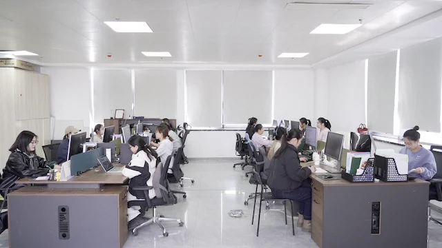 Dingxing Huahui Bag Manufacture Co., Ltd. Backpack