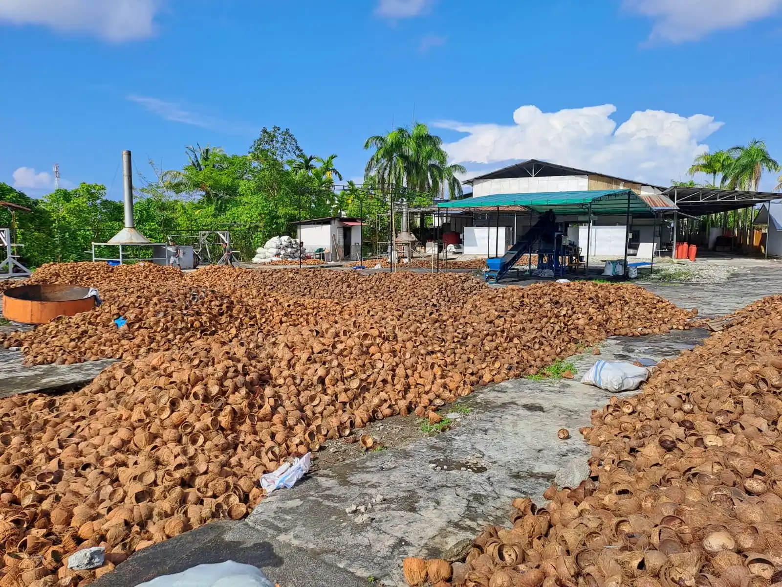 PT Barokah Coco Indonesia Coconut Briquette Charcoal