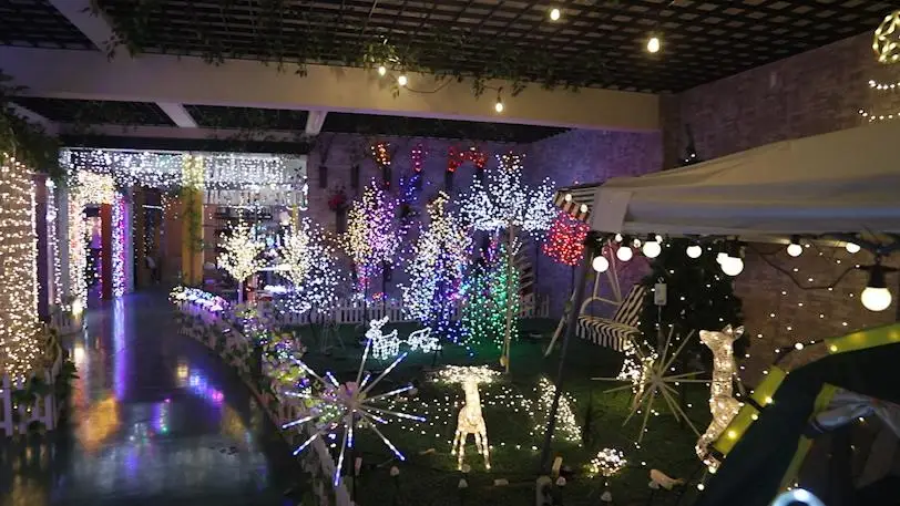 Linhai Jiahao Lighting Co., Ltd. LED Holiday Lights