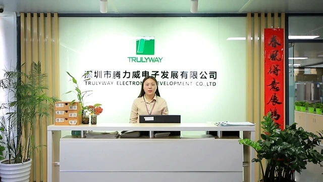 Shenzhen Trulyway Electronic Development Co., Ltd. TWS Earbud