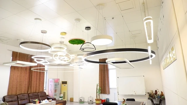 Ecojas Lighting Co., Ltd. Magnetic Track Light System