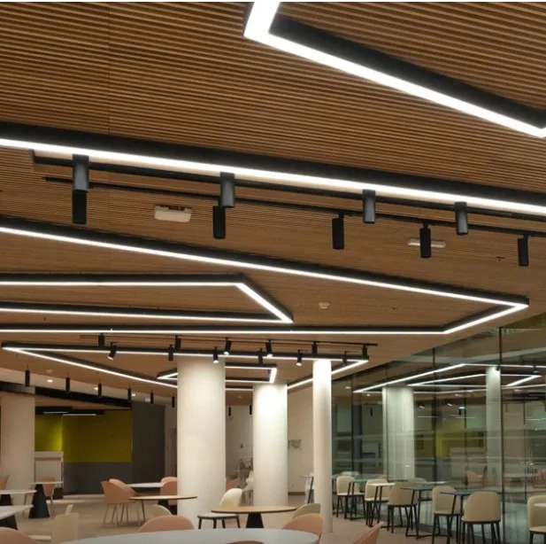 Ecojas Lighting Co., Ltd. LED Linear Light