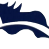 Jinhua Feima Bag Co., Ltd. logo