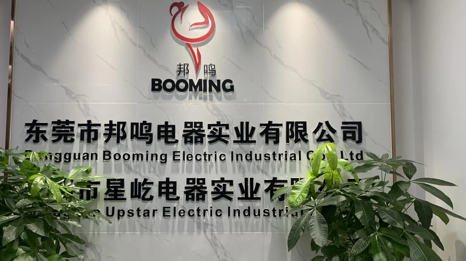 Dongguan Booming Electric Industrial Co., Ltd. Electric Heating Faucet