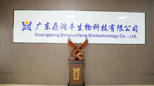 Guangdong Dingrunfeng Biotechnology Co., Ltd. PET Disposable Cold Drink Cup