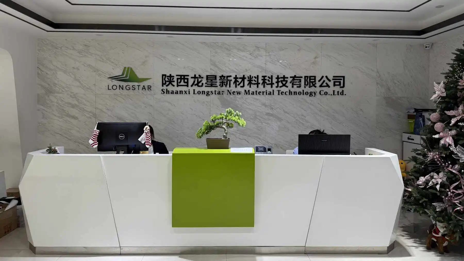 Shaanxi Longstar New Material Technology Co., Ltd. Christmas Wreath