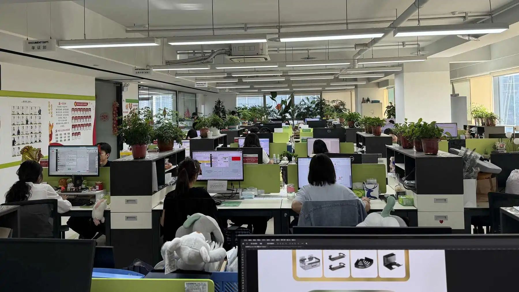 Shaanxi Longstar New Material Technology Co., Ltd. Christmas Garland