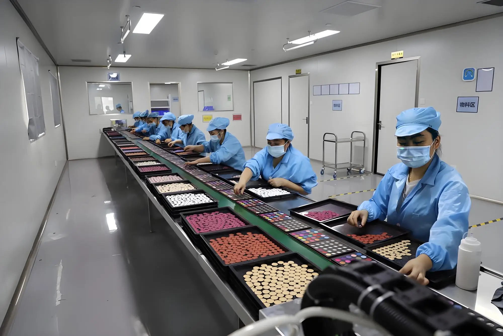 Shenzhen Branpac Technology Co., Ltd. Eyeshadow