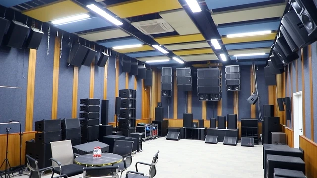 Guangdong Huiyin Audio Co., Ltd. Subwoofer