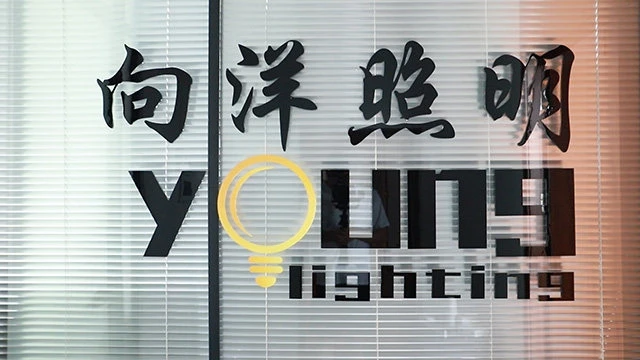 Ningbo Beilun Xiang Young Lighting Co., Ltd. LED Night Lights