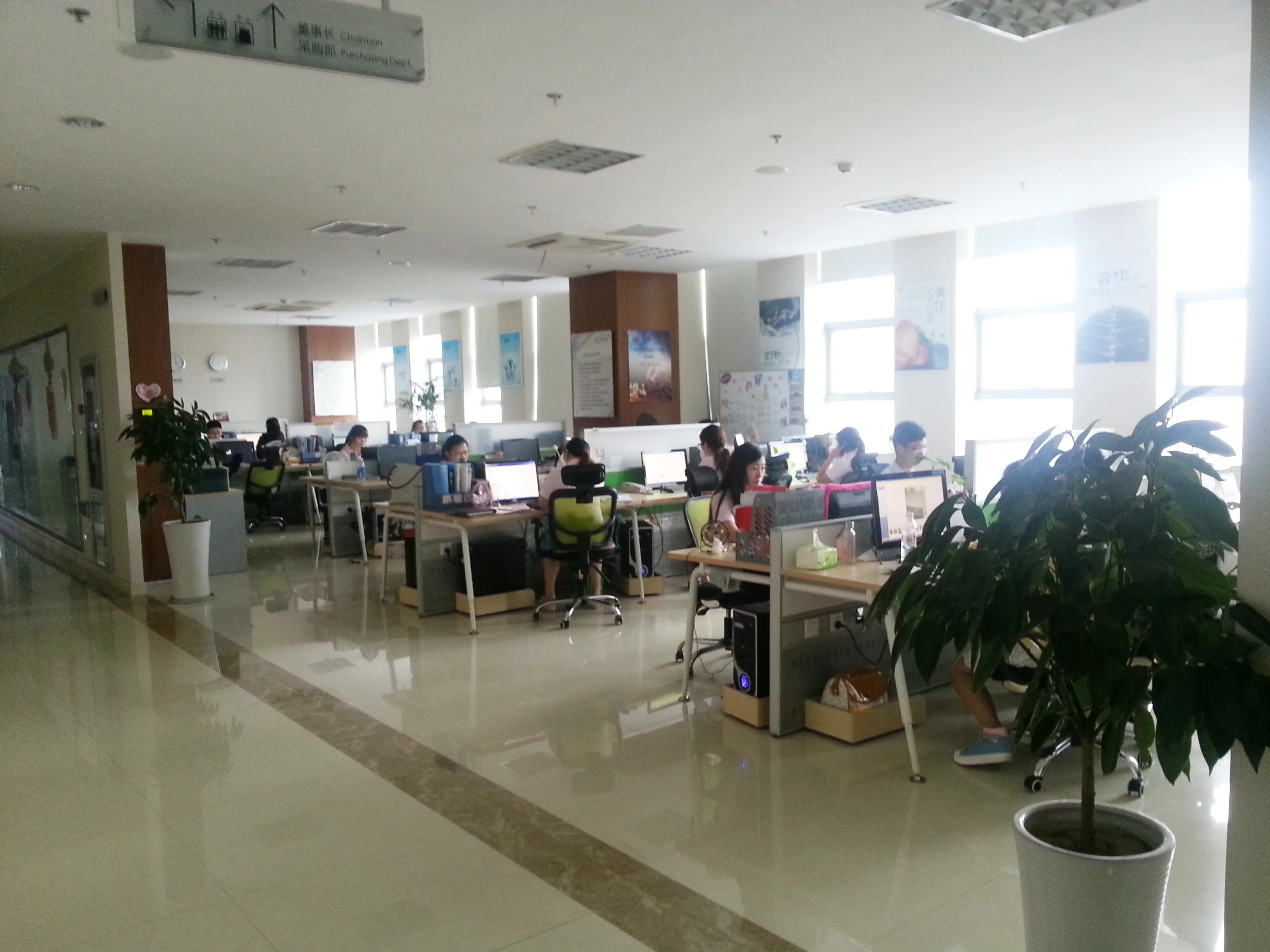 Donghai Pellocci Crystal Products Co., Ltd. Crystal Ball Sphere