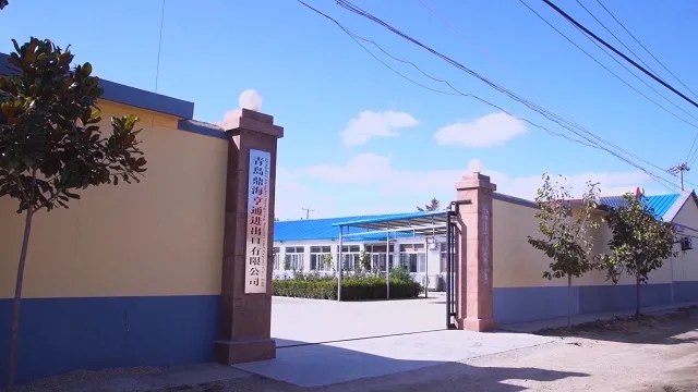 Qingdao Dinghai Hengtong Import and Export Co., Ltd. False Eyelashes