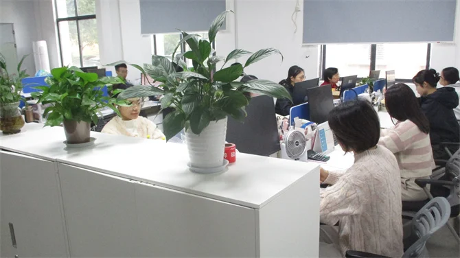 Jiangxi Meichi Cosmetics Co., Ltd. Foundation Brush