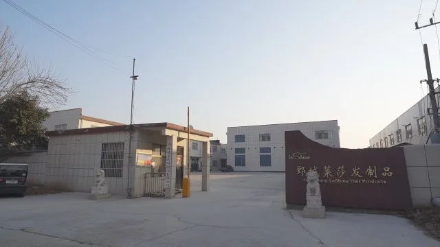 Juancheng LeShine Hair Products Co., Ltd. Human Hair Extension