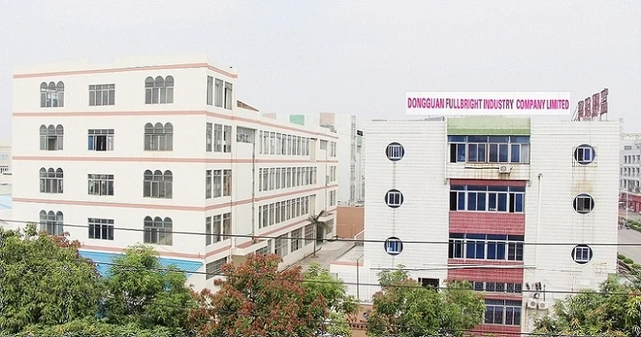 Dongguan Fullbright Industry Company Limited paper bag
