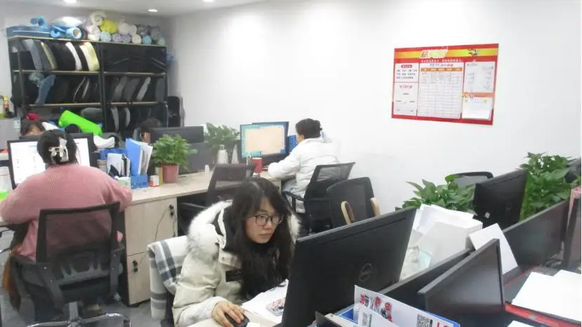 Hunan Wye Household Co., Ltd. Lumbar Support Pillow