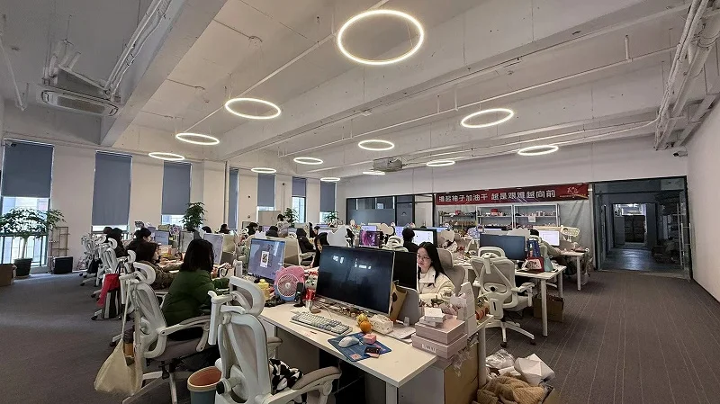 Yiwu Bimei Cosmetics Co., Ltd. Concealer