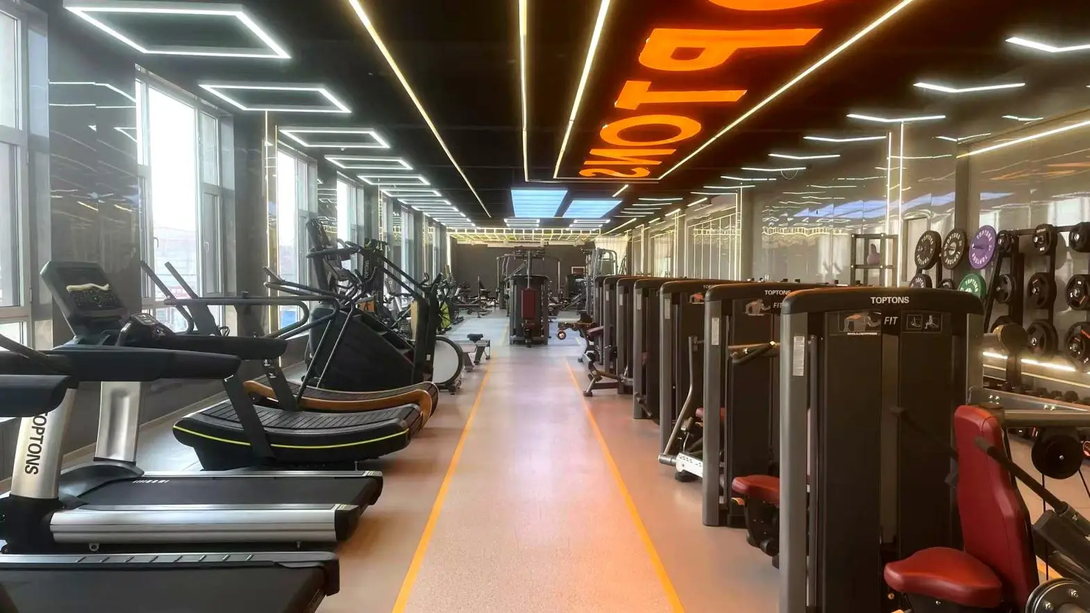 Dingzhou Yunlingyu Sports Goods Co., Ltd. Dumbbell