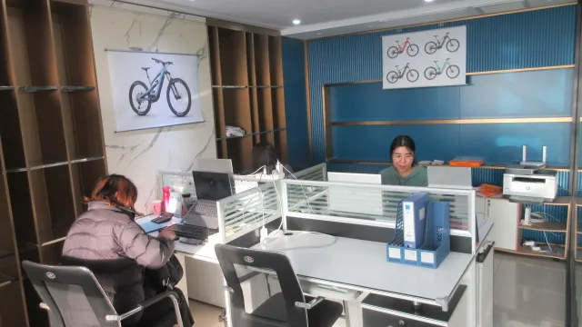 Shandong Galaxy Power Technology Co., Ltd. Electric City Bike
