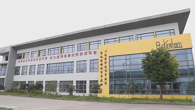 Buckingham Industrial Corporation LED Downlight