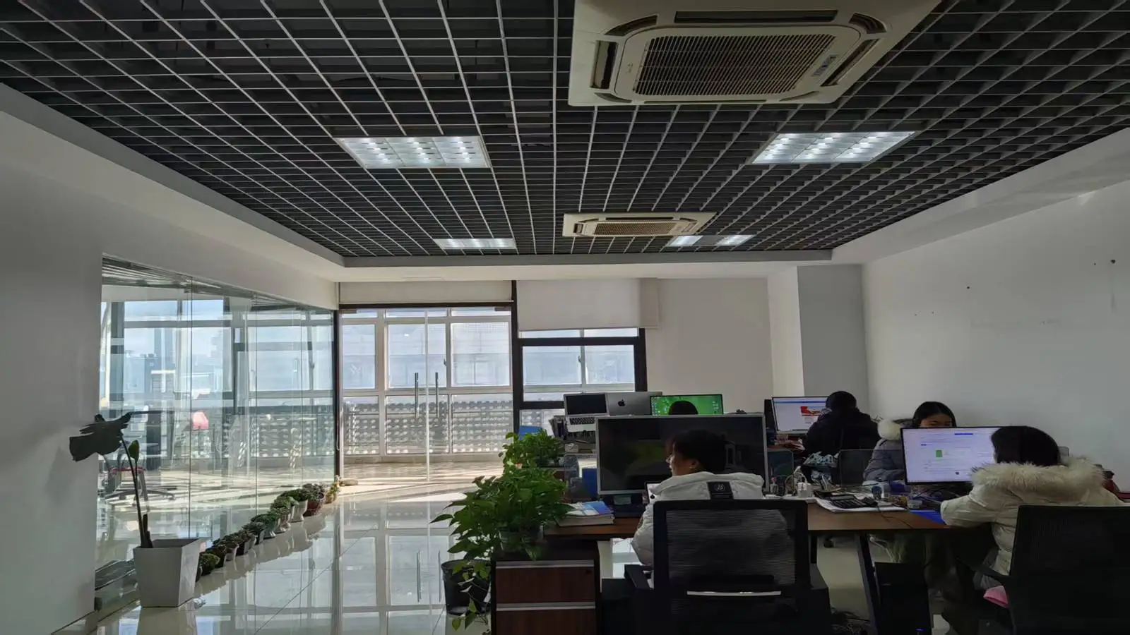 X New Energy Technology (Changzhou) Co., Ltd. Photovoltaic Module