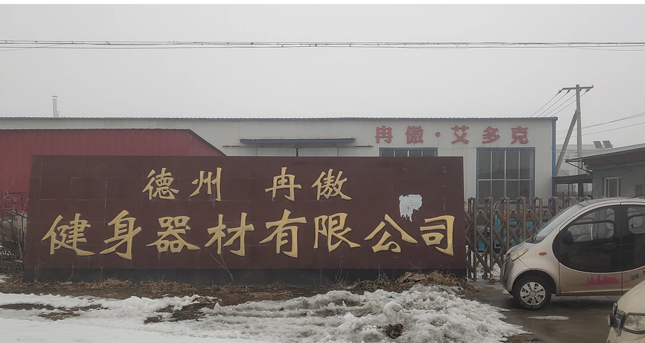 Dezhou Ranao Fitness Equipment Co., Ltd. Plate-loaded Chest Press Machine