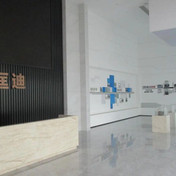 d59p605hkj9s73faa100.webp