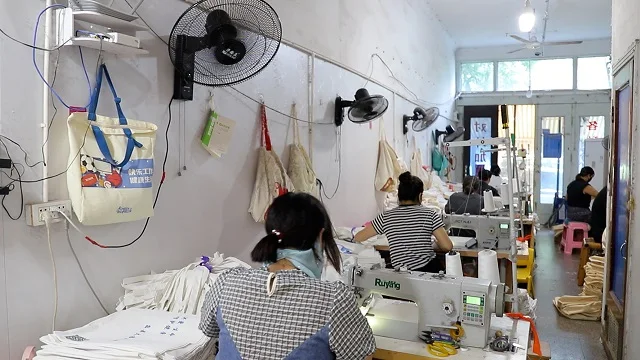 Cangnan Red Dragon Packaging Co., Ltd. Shopping Bags