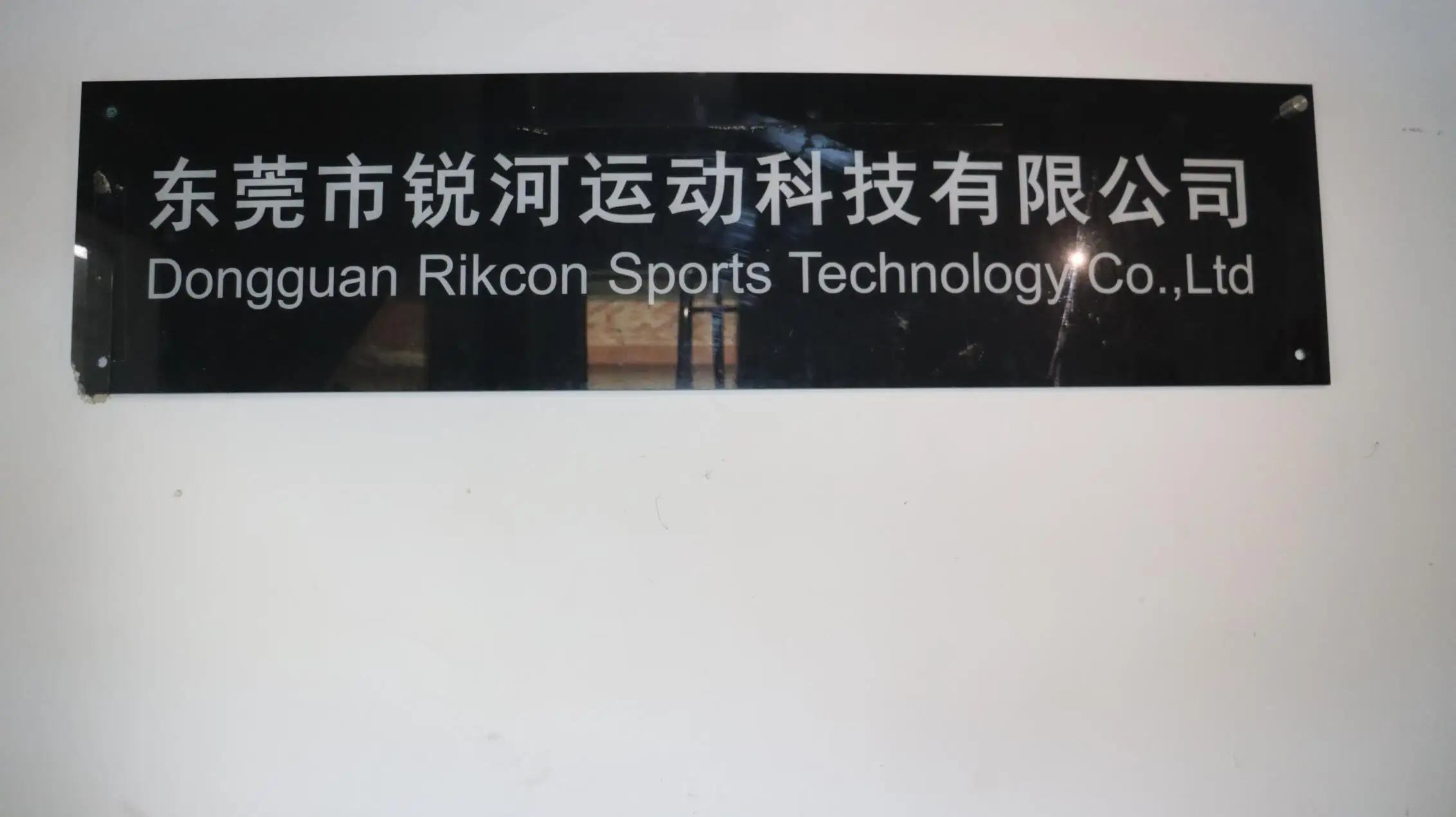 Dongguan Rikcon Sports Technology Co., Ltd. Ski Helmets