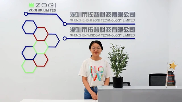 Shenzhen ZOGI Technology Limited Bluetooth Speaker